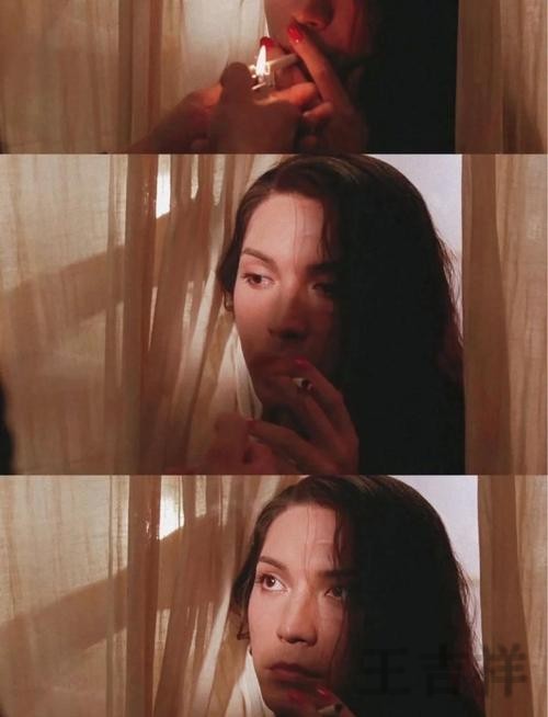 尊龙正规版官网入口与安全访问指南